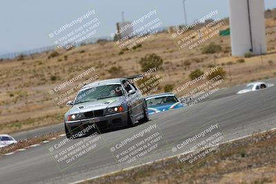 media/May-03-2025-Lucky Dog Racing (Sat) [[206de64b9d]]/Turn 6 (150pm-230pm)/